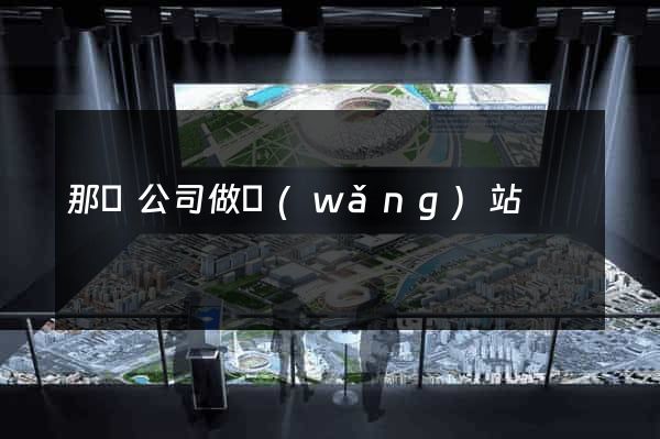 那個公司做網(wǎng)站