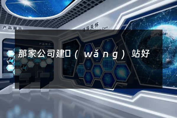 那家公司建網(wǎng)站好