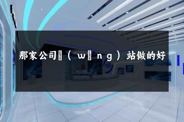 那家公司網(wǎng)站做的好