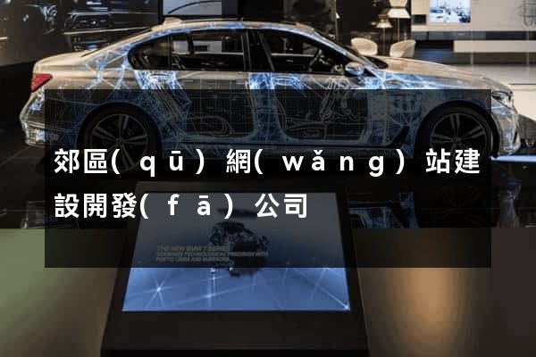 郊區(qū)網(wǎng)站建設開發(fā)公司