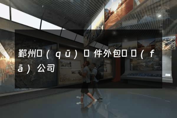 鄞州區(qū)軟件外包開發(fā)公司