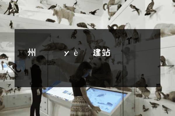 鄭州專業(yè)建站