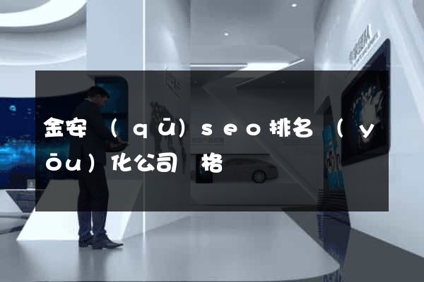 金安區(qū)seo排名優(yōu)化公司價格
