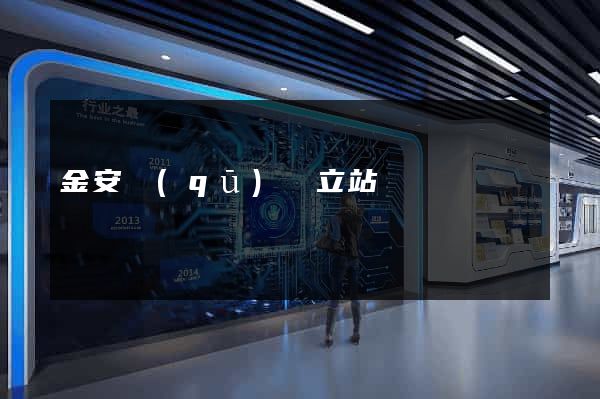金安區(qū)獨立站運營
