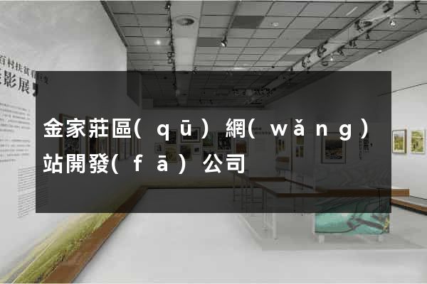 金家莊區(qū)網(wǎng)站開發(fā)公司