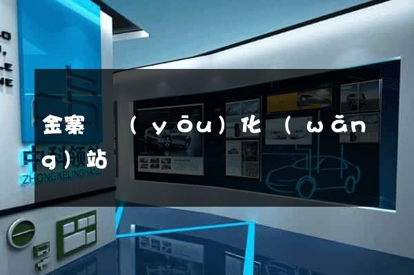 金寨縣優(yōu)化網(wǎng)站