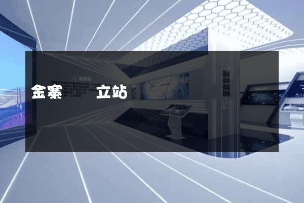 金寨縣獨立站運營