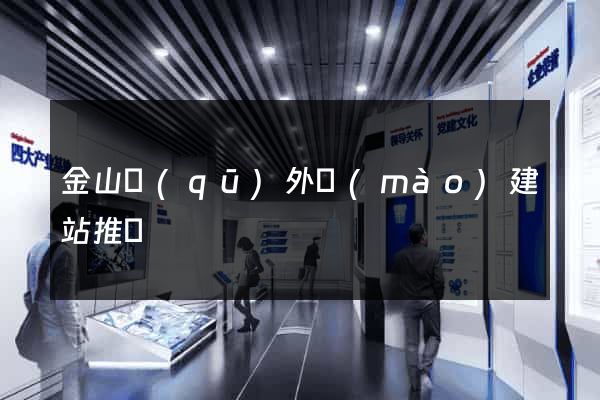 金山區(qū)外貿(mào)建站推廣
