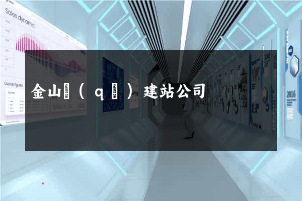 金山區(qū)建站公司