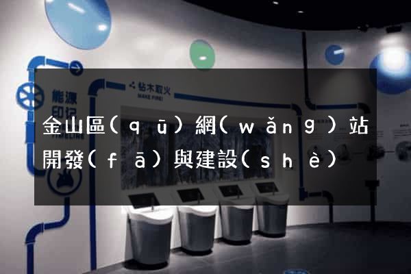 金山區(qū)網(wǎng)站開發(fā)與建設(shè)
