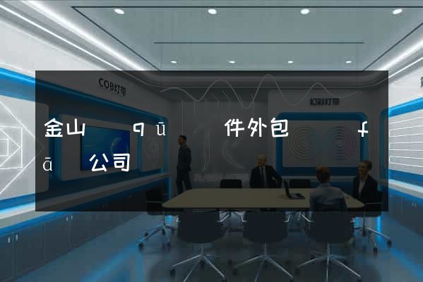 金山區(qū)軟件外包開發(fā)公司