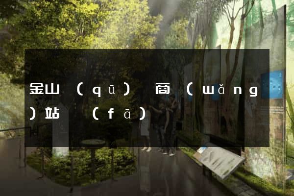 金山區(qū)電商網(wǎng)站開發(fā)