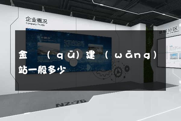 金東區(qū)建網(wǎng)站一般多少錢