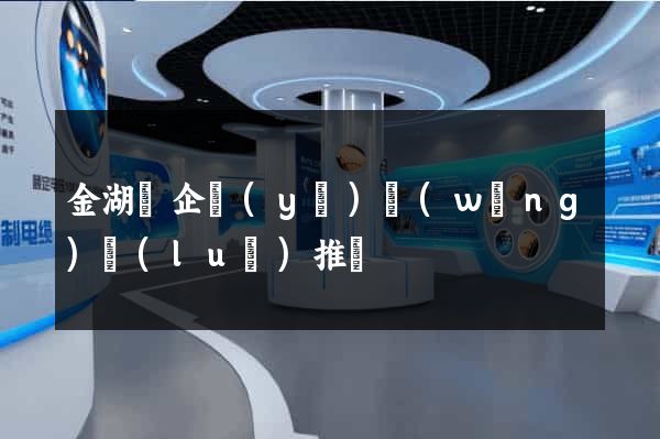 金湖縣企業(yè)網(wǎng)絡(luò)推廣