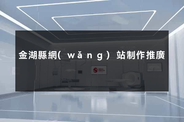 金湖縣網(wǎng)站制作推廣