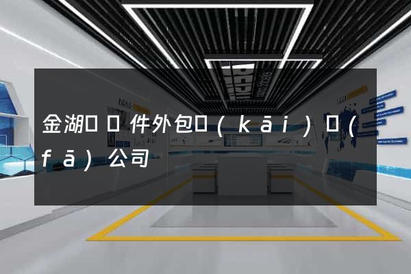 金湖縣軟件外包開(kāi)發(fā)公司