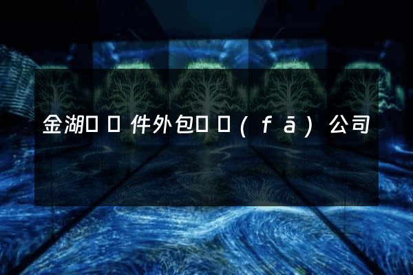 金湖縣軟件外包開發(fā)公司