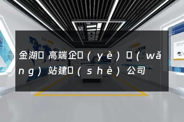 金湖縣高端企業(yè)網(wǎng)站建設(shè)公司