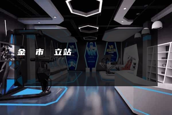金華市獨立站運營