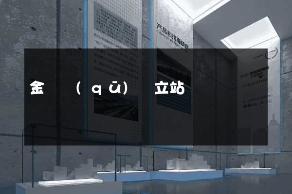 金閶區(qū)獨立站運營