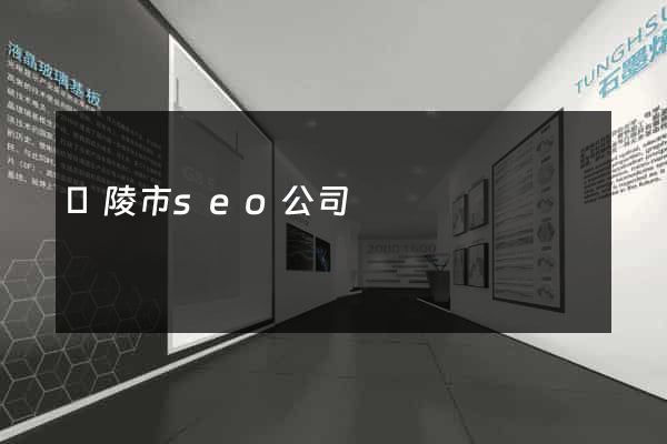 銅陵市seo公司