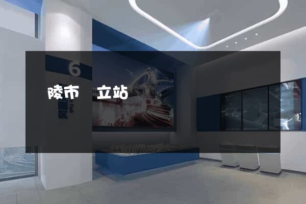 銅陵市獨立站運營