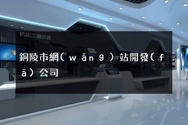 銅陵市網(wǎng)站開發(fā)公司