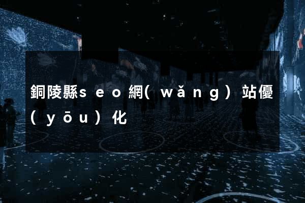銅陵縣seo網(wǎng)站優(yōu)化