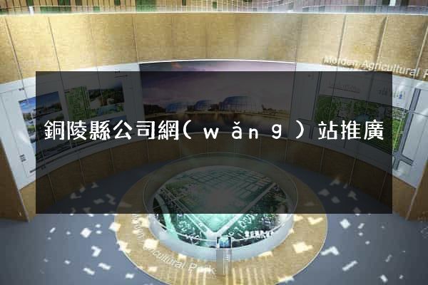銅陵縣公司網(wǎng)站推廣