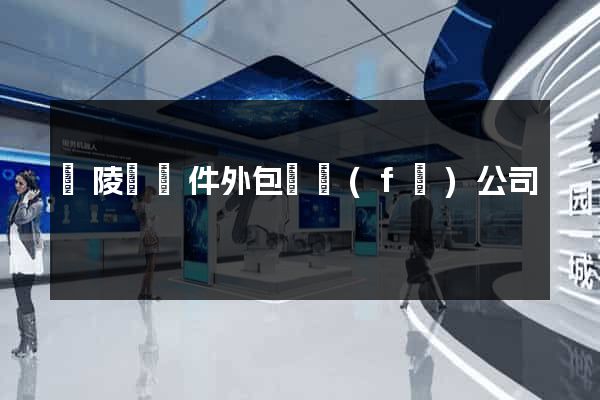 銅陵縣軟件外包開發(fā)公司