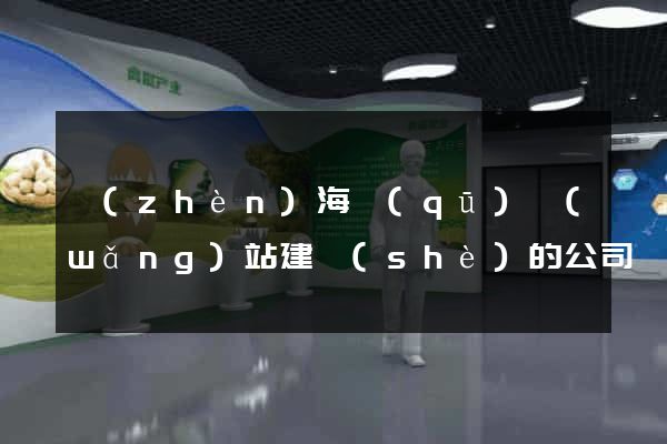 鎮(zhèn)海區(qū)網(wǎng)站建設(shè)的公司