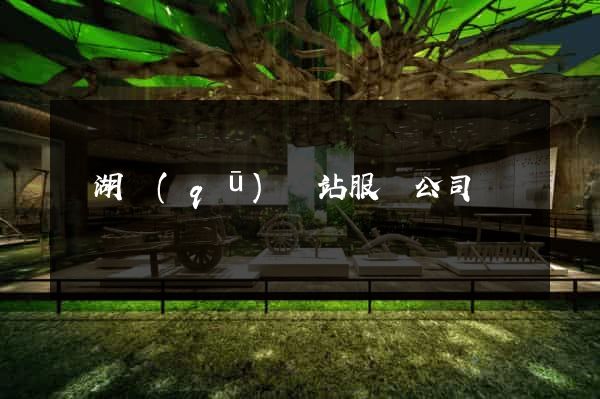 鏡湖區(qū)網站服務公司