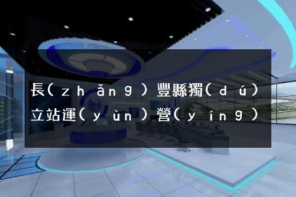 長(zhǎng)豐縣獨(dú)立站運(yùn)營(yíng)