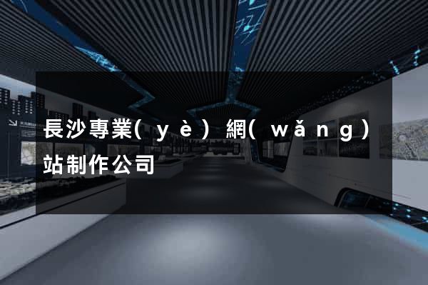 長沙專業(yè)網(wǎng)站制作公司