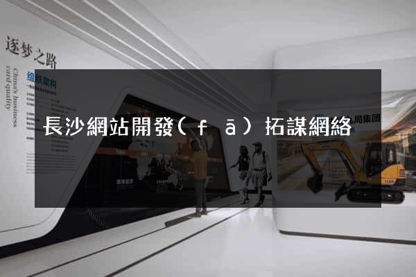 長沙網站開發(fā)拓謀網絡