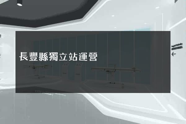長豐縣獨立站運營