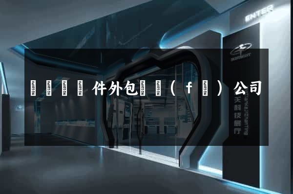 長豐縣軟件外包開發(fā)公司