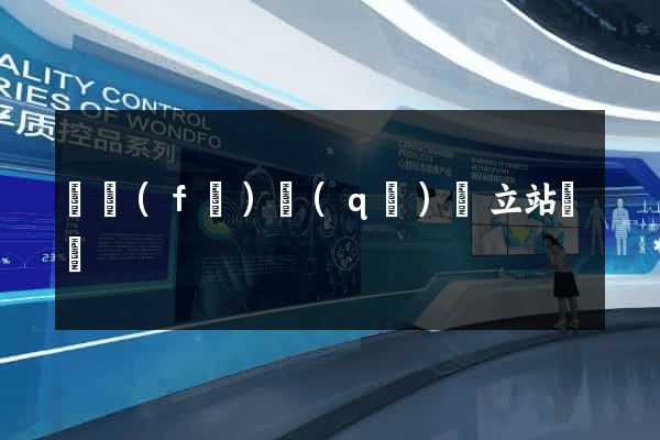 開發(fā)區(qū)獨立站運營
