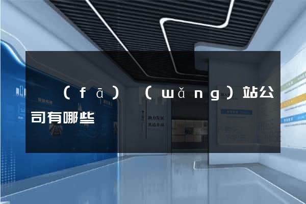 開發(fā)網(wǎng)站公司有哪些