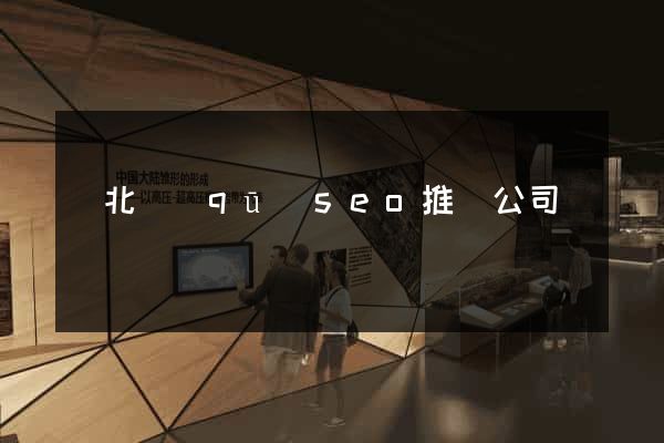 閘北區(qū)seo推廣公司