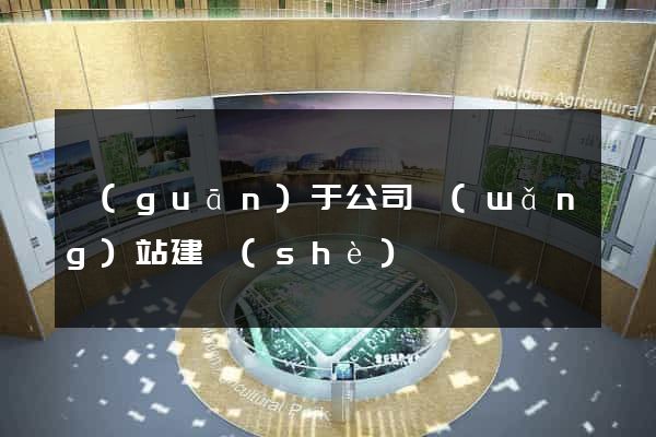 關(guān)于公司網(wǎng)站建設(shè)