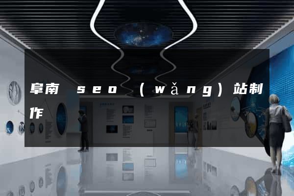 阜南縣seo網(wǎng)站制作
