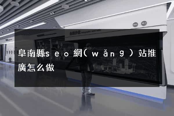 阜南縣seo網(wǎng)站推廣怎么做