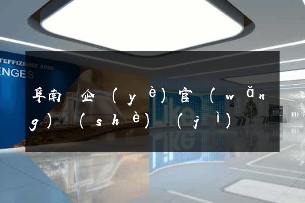 阜南縣企業(yè)官網(wǎng)設(shè)計(jì)