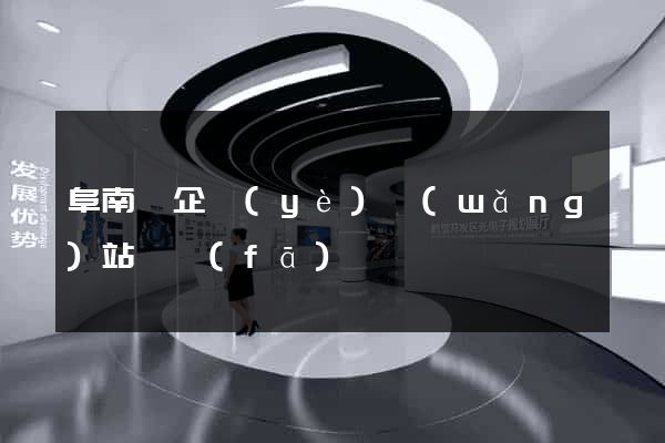 阜南縣企業(yè)網(wǎng)站開發(fā)