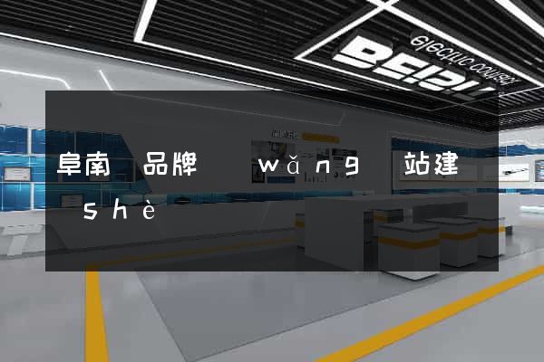 阜南縣品牌網(wǎng)站建設(shè)