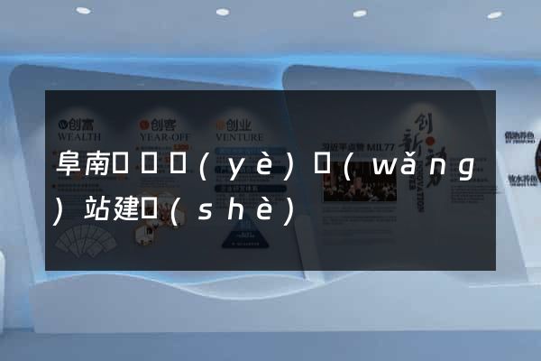 阜南縣專業(yè)網(wǎng)站建設(shè)
