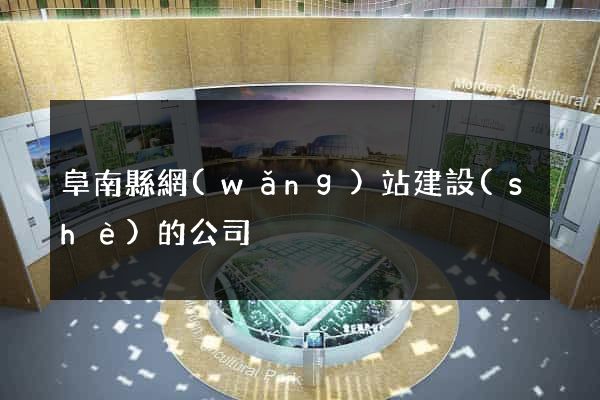 阜南縣網(wǎng)站建設(shè)的公司
