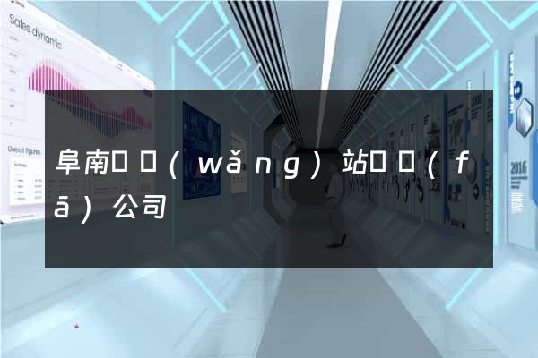 阜南縣網(wǎng)站開發(fā)公司