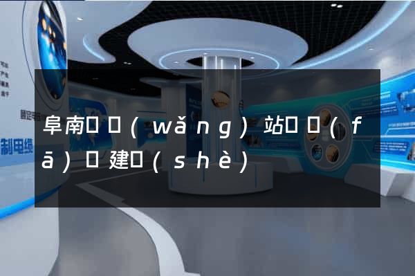 阜南縣網(wǎng)站開發(fā)與建設(shè)
